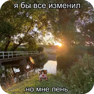 Стикер котята в депрессии - 10