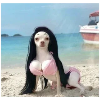 Стикер Котятки - 4