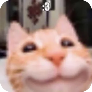 Стикер Котыкы - 3