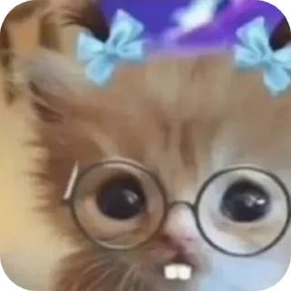 Стикер Котыкы - 10