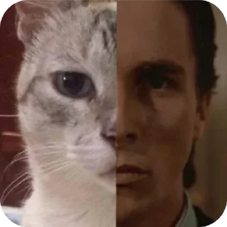 Стикер Котыкы - 11