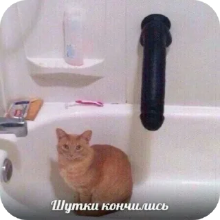 Стикер Котыкы - 5