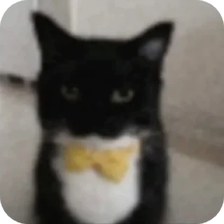 Sticker Котыписяпрпакакашка - 2