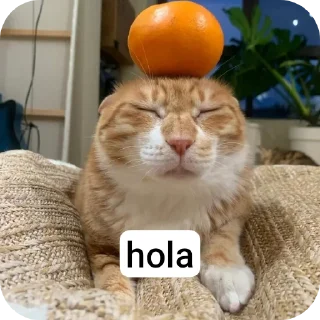 Sticker Котыписяпрпакакашка - 1