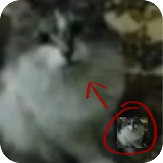 Sticker Котыписяпрпакакашка - 10