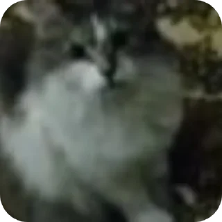 Sticker Котыписяпрпакакашка - 3