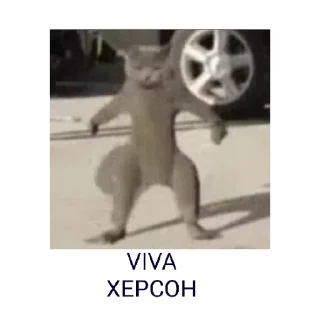 Стикер Kotyra - 7