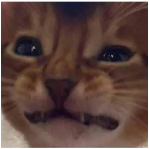 Стикер Лол - 0