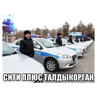 Sticker Телипон PRO - 2