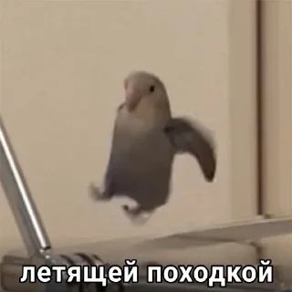 Sticker Кожа Михаила - 7