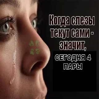 Sticker Кожа Михаила - 4