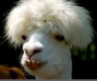 Стикер Goat @stickersb2b - 7