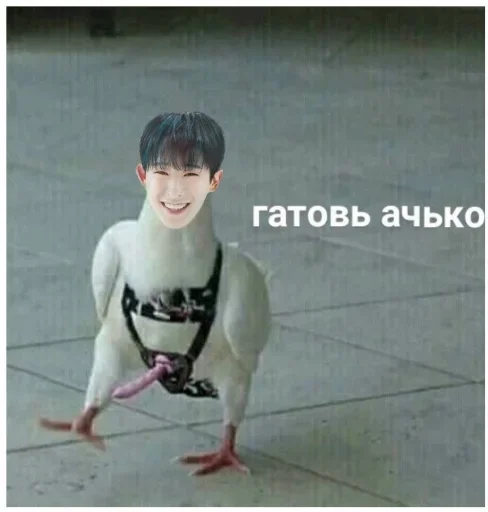 СМС мультфильм Человек