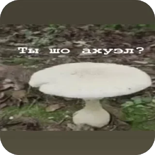 Sticker Krasnaya_nezhit @TgEmodziBot - 11