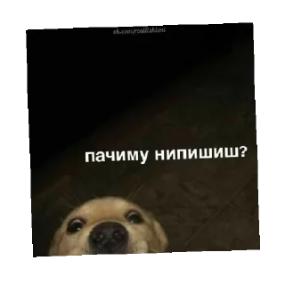 Стикер Красотки - 1