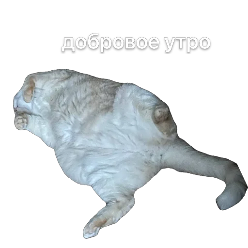 Sticker KremDaun - 1