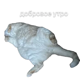 Sticker крем даун - 3