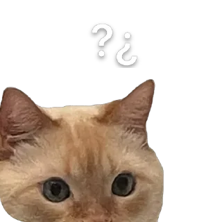 Sticker крем даун - 4