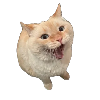 Sticker крем даун - 2