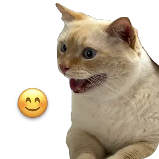 Sticker крем даун - 8