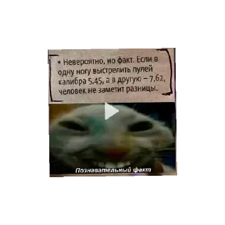 Стикер Кринге - 3