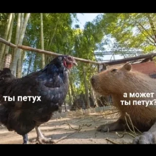 Стикер Pizdec - 7