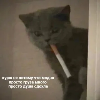 Стикер Pizdec - 8