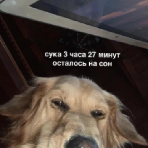 Кринженерия - 