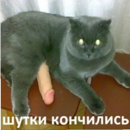 Стикер Krinzheneriya - 1