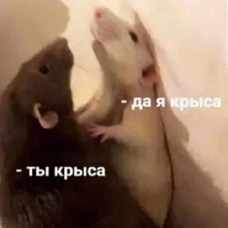 Стикер Кринженерия - 2