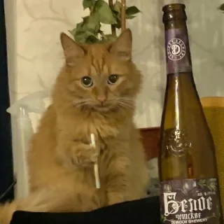 Стикер Кринженерия - 5