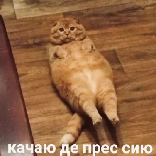 Стикер Кринженерия - 0