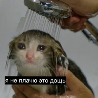 Стикер Кринженерия - 9