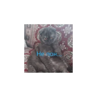 Sticker Крис - 9