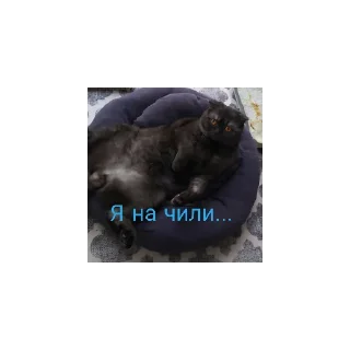 Sticker Крис - 4