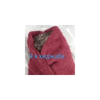 Sticker Крис - 6