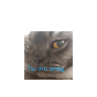 Sticker Крис - 10