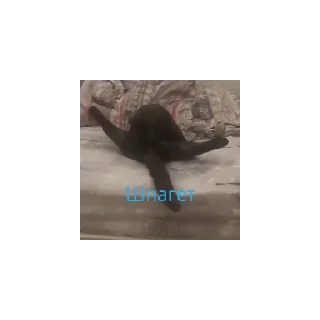 Sticker Крис - 0