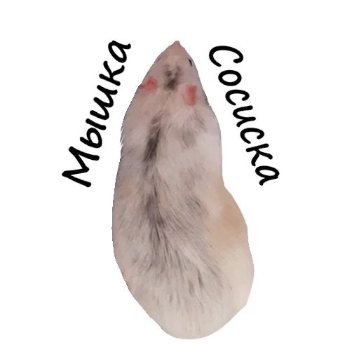 Стикер Ёся - 11