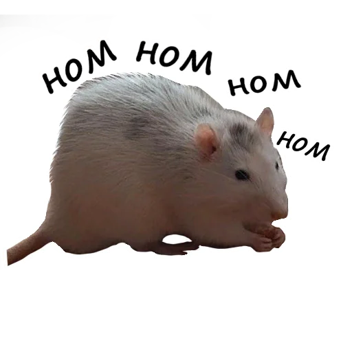 Стикер Ёся - 10