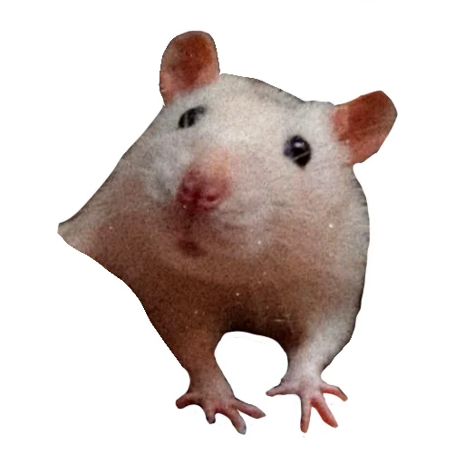 Стикер Ёся - 9