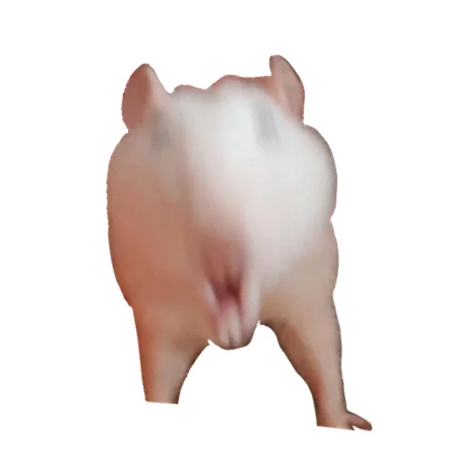 Стикер Ёся - 6