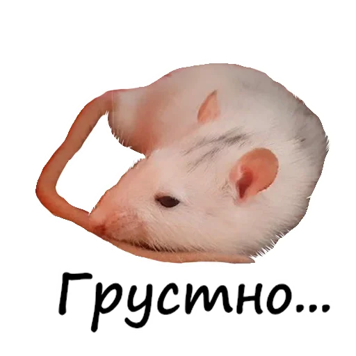 Стикер Ёся - 4