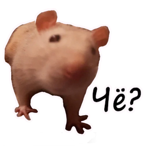 Стикер Ёся - 3