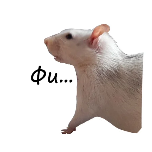 Стикер Ёся - 1