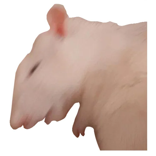 Стикер Ёся - 0