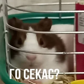 Стикер Mood Борис - 4