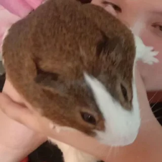 Стикер Mood Борис - 0