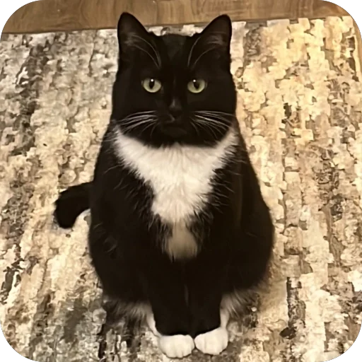 Sticker Kristino4ka5 - 1