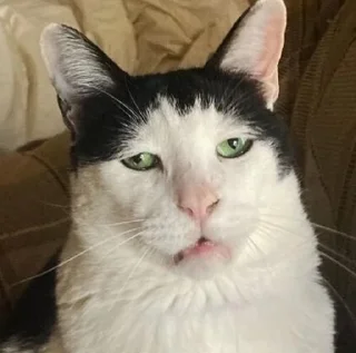 Стикер Кривые косые - 0